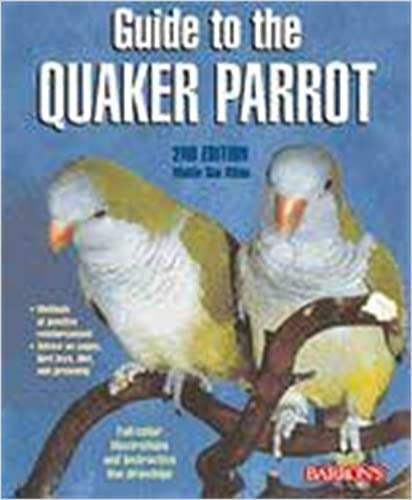 A Guide to the Quaker Parrot