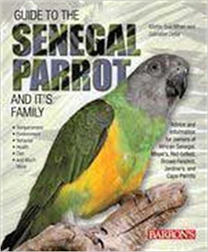 Guide to Senegal Parrot and Its Family