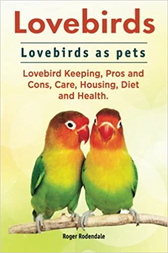 Lovebirds as Pets