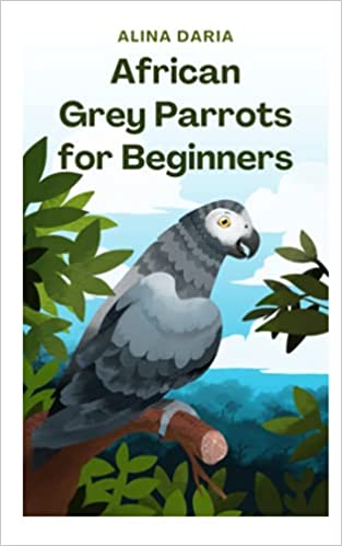 African Gray  Parrots for Beginners