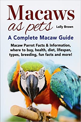 Macaws as Pets
